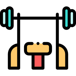 Gym Equipment Repair